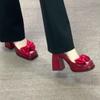 Red High-heeled Mary Jane Shoes for Women's 2025 New Winter High-heeled Shoes, Wedding Shoes, Small People Are Not Tired of Growing Their Feet