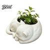 Healing Visual Style Planter 3D Printed Sleeping Cat Flowerpot, Mini Desktop Planter, Unique Indoor Garden Decor Decorative Plant Holder for