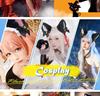 A set of 2 adorable cat-ear headbands and a bell-adorned collar, perfect for women and girls at Halloween, birthday parties, or costume parties