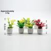 5pcs Plastic 1:12 Dollhouse Miniature Plant Green Luo Plant  Outdoor Doll House Model Accessories