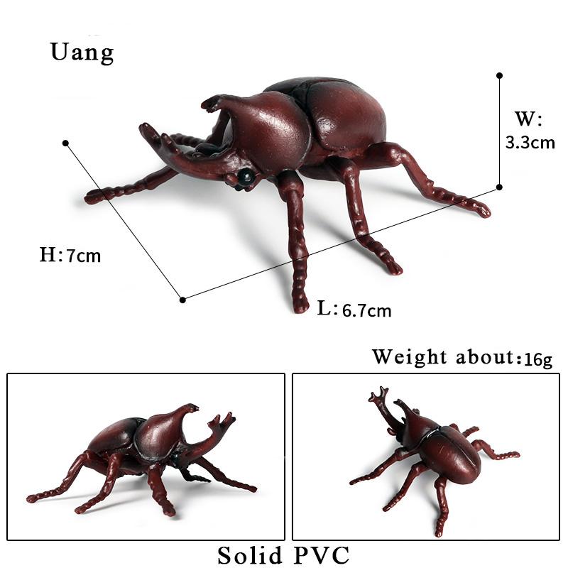 Oenux  Insect Animals Model Butterfly Bee Dragonfly Mantis Ant Snail Action Figures Jouet Collection Decor Kids Education Toy
