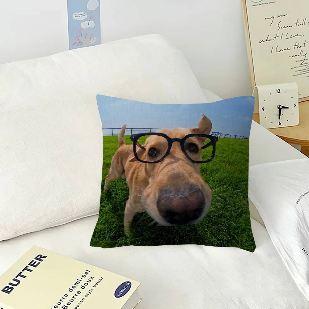 Cute Dog Funny Meme   Pillow Cushion Cover Pillowcase Living Room Sofa Home Decor Customized