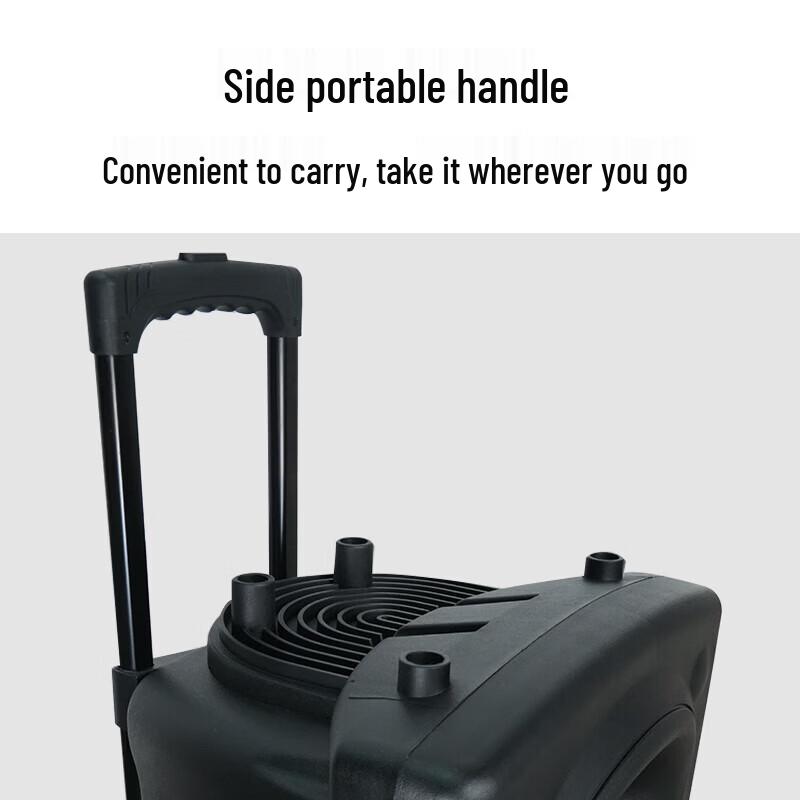 Malata M+9098 15-inch Portable PA Speaker CN plug (adapter included)