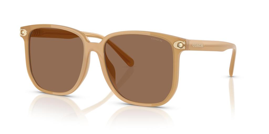 Sunglasses 0HC8413BD MILKY TEA 58 [Coach]