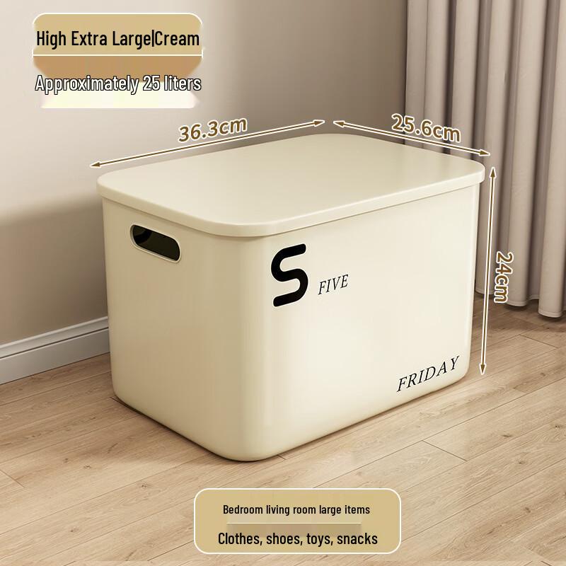 Xingyou Jumbo Desktop Storage Box
