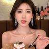 Long Fringed Earrings Niche Design New Light Luxury Stud Earrings Premium Earrings Women