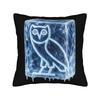 Drake Rapper Pillowcase Printing Polyester Cushion Cover Decor Pillow Case Cover Home Square 18''