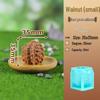 3D Mini Fruit Popsicle Mold - Mango, Peach, Lychee, Strawberry, Cantaloupe, Orange