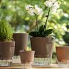 Flowerpot with Open Water Pour Port Easy Maintenance Self-Absorbing Double-Layer Water System Thickened Transparent Water Storage