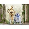 TAMASHII NATIONS S.H. Figuarts Star Wars C-3PO -Classic Ver.- (STAR Hope) approximately 155mm ABS PVC painted movable figure