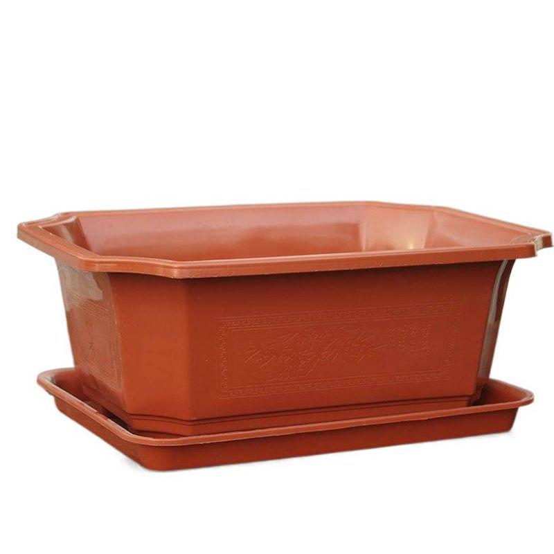 Large Rectangular Plastic Flower and Vegetable Planting Pot | Bonsai and Ficus Planter with Base