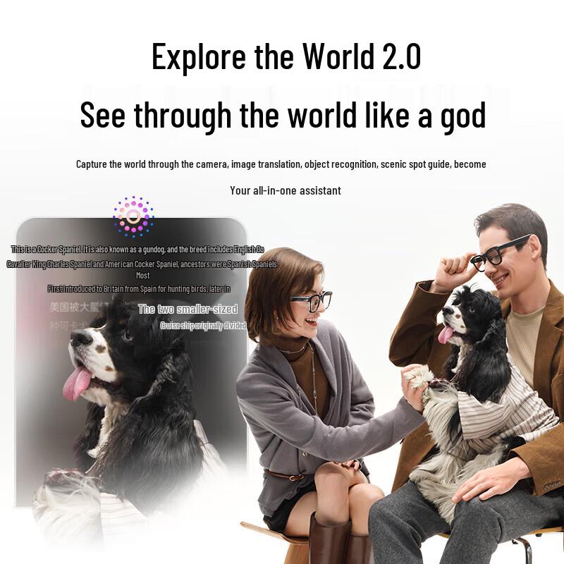 RayNeo V3 Slim AI Smart AR Glasses