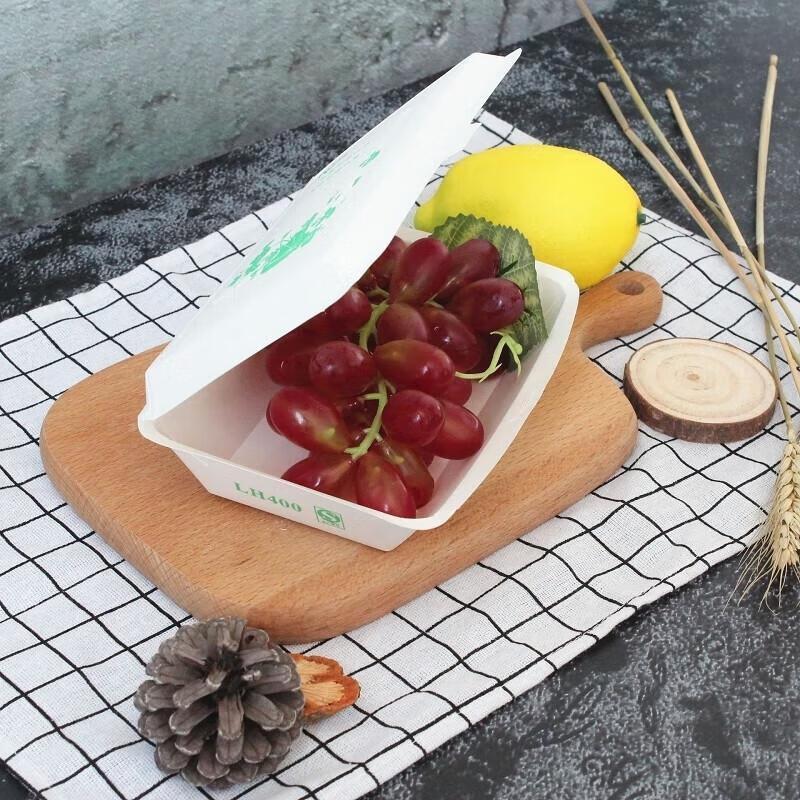 JingJingRS Disposable Takeout Food Containers with Lids