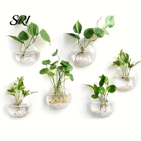 Decorative Wall Planter Hanging Glass Clear Flower Vase for Hydroponics Plants Greenery Home Decor Mount Terrarium Propagation Station Bathroom Office