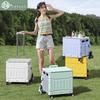 Foldable Shopping & Utility Cart