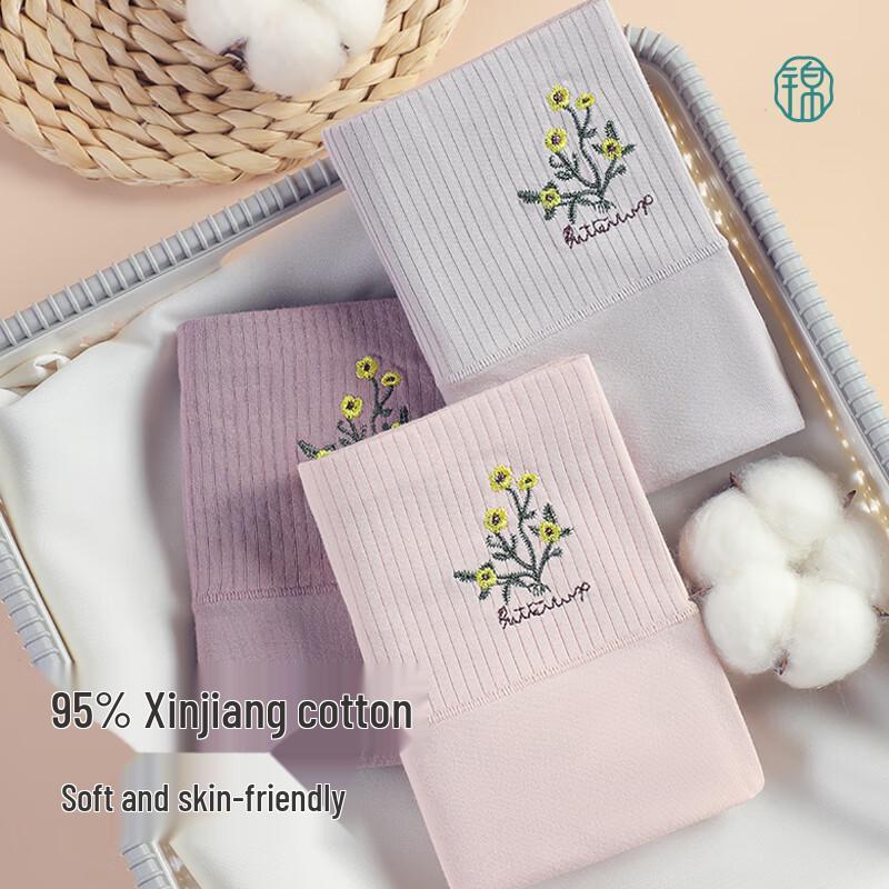 Women's 2025 Autumn Pure Cotton High-Waist Briefs 4-Pack