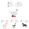 Farm Animal Sheep And Rabbits Pvc Figures Collection With Durable Material For Kids Playrooms And Classroom Use