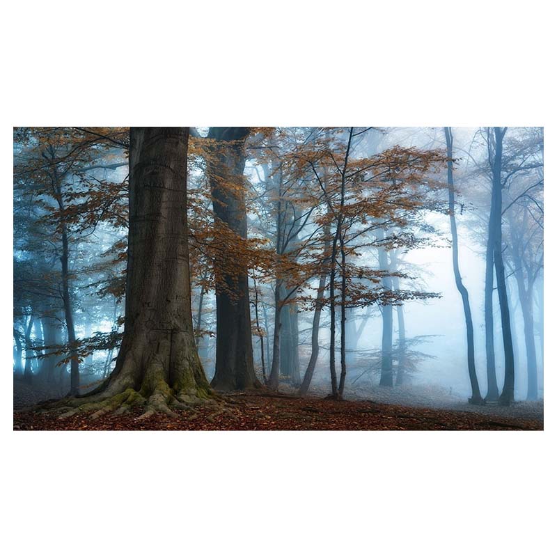 Водопад Живописный Мангровый Лес Пейзаж Холст Настенное Искусство Холст Картины Домашний — фото 13