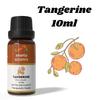 Ananta Tangerine Essential Oil 10 ml | Sweet Citrus Aromatic Oil | Diffuser & Home Fragrance Use