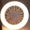 Three-speed Mode LED Fan Light Remote Control Fan Ceiling Light E27 Screw Fan Light  Bedroom