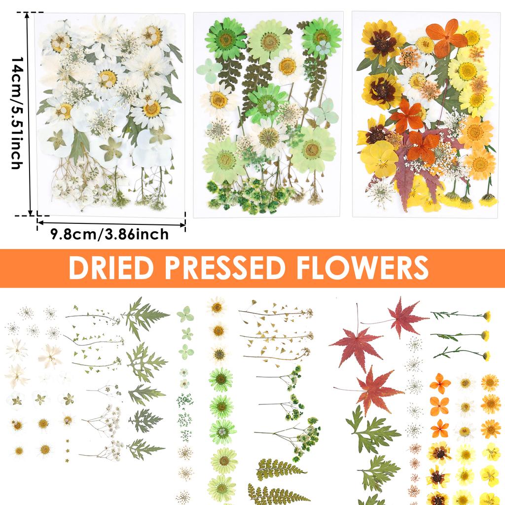 104Pcs Pressed Dried Flowers Set Real Natural Pressing Floral Leaves DIY Multipurpose Real Pressed Flowers Dry Leaves Kit