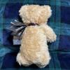 [USED] Merrythought Teddy Bear