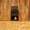 Porta Automatica per Pollaio Sensibile alla Luce Porta Automatica per Casa del Pollaio Porta di Alta Qualità Pratica per Gabbie da Pollame