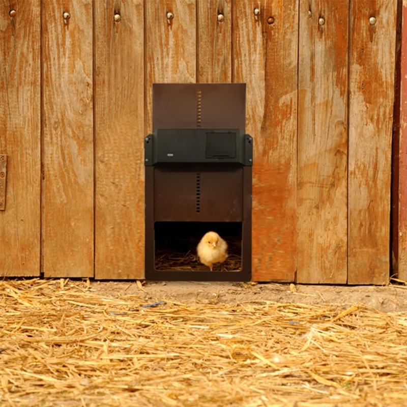 Porta Automatica per Pollaio Sensibile alla Luce Porta Automatica per Casa del Pollaio Porta di Alta Qualità Pratica per Gabbie da Pollame
