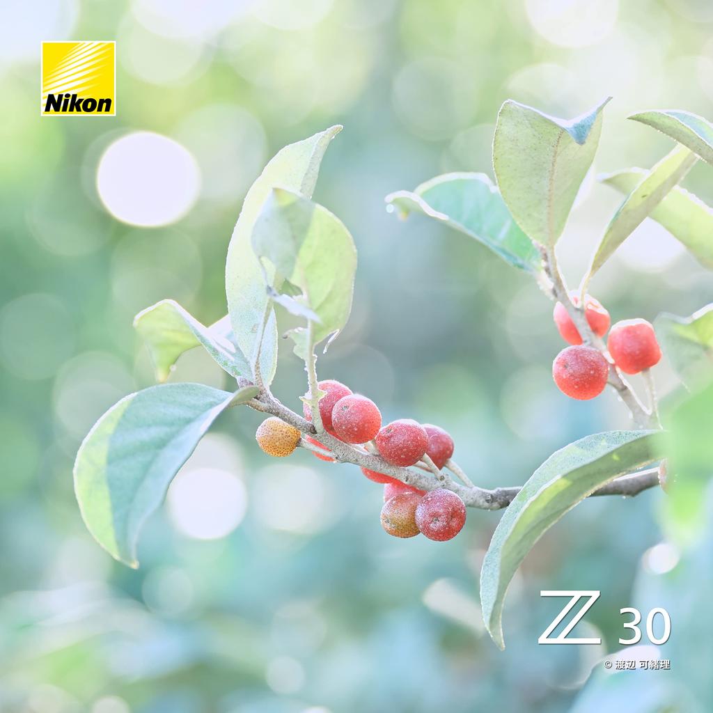 Nikon Z30 Mirrorless Camera with 16-50 VR Lens Kit, Z-Mount APS-C, VideoVlogging, Image Stabilization, Black