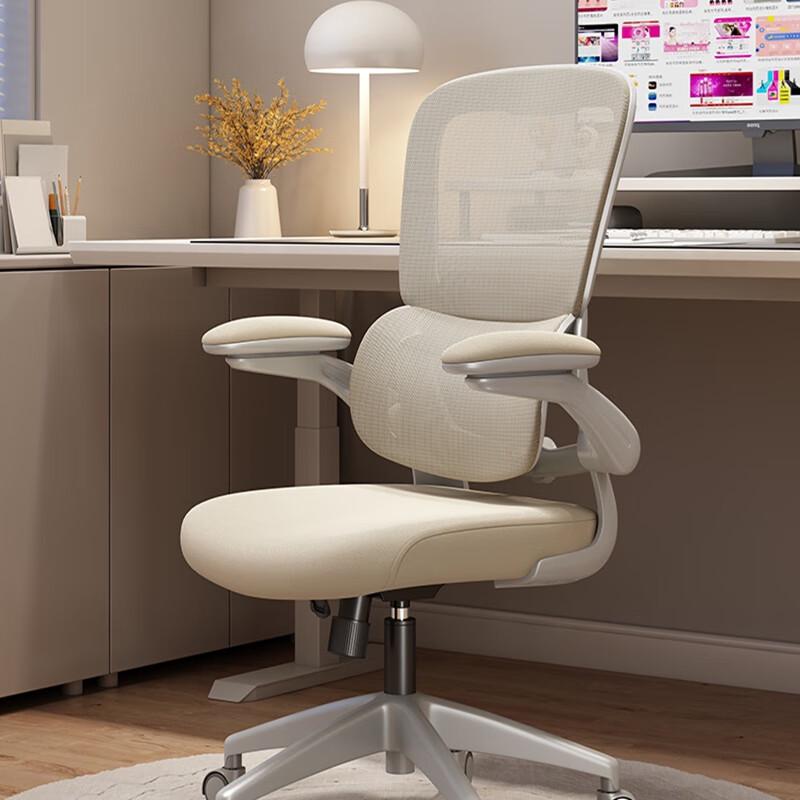 YouShu Ergonomic Office Chair