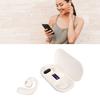 Language Translator Earbuds Multifunction Noise Reduction Stereo Sound 144 Kinds Languages   5.3 Translator Earphones
