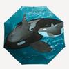 1pc Orca Whale Automatic Open/Close Umbrella with One-Touch Button, Compact Folding Canopy, Sturdy 8-Rib Windproof Design S17