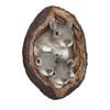 Garden Squirrel Tree Hugger Outdoor Tree Hole Statues Tree Face Decoration