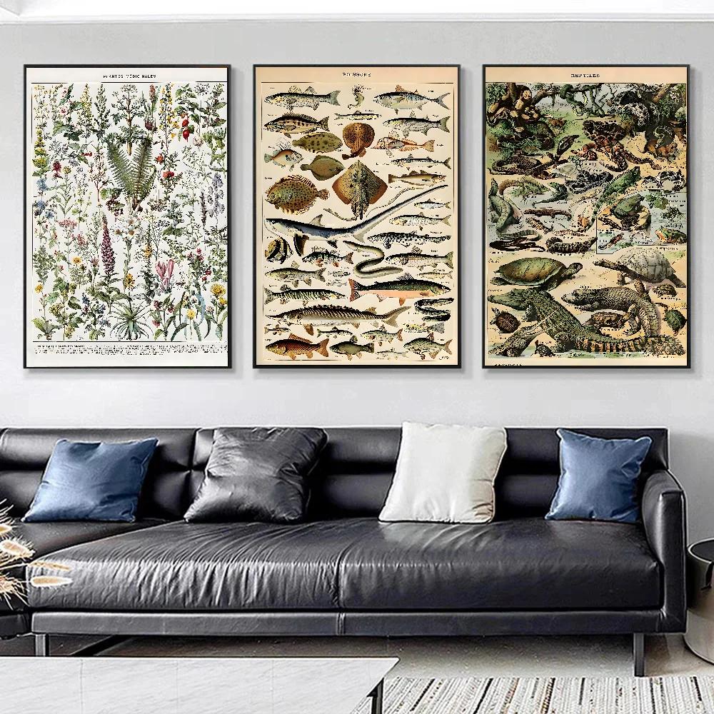 Vintage Plants Mushroom Medicine Flower Insect Butterfly Poster Paper Print Home Bedroom Entrance Art Painting Decoration