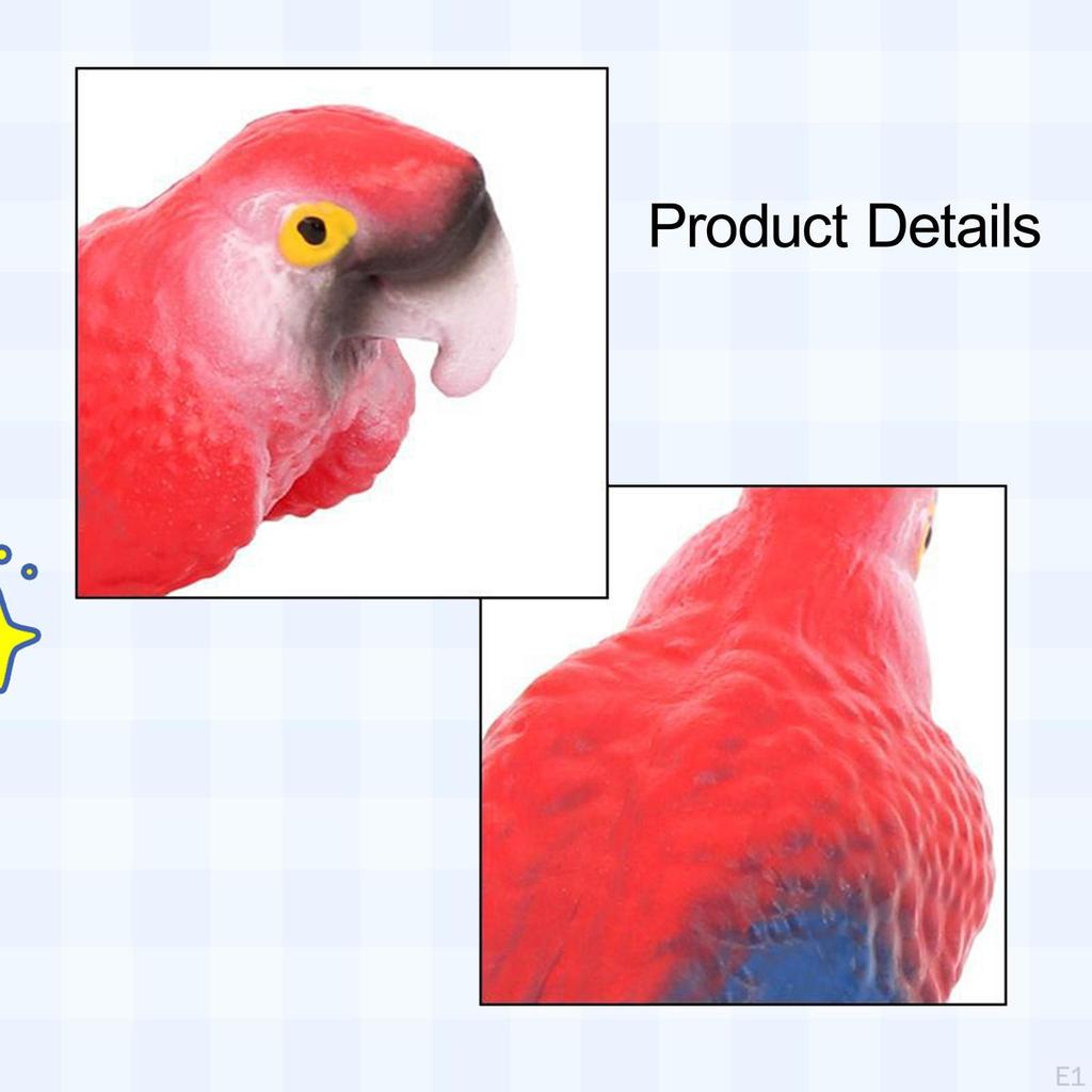Animal Model Bird Decoration, Parrot Figurine for Birthday Gifts