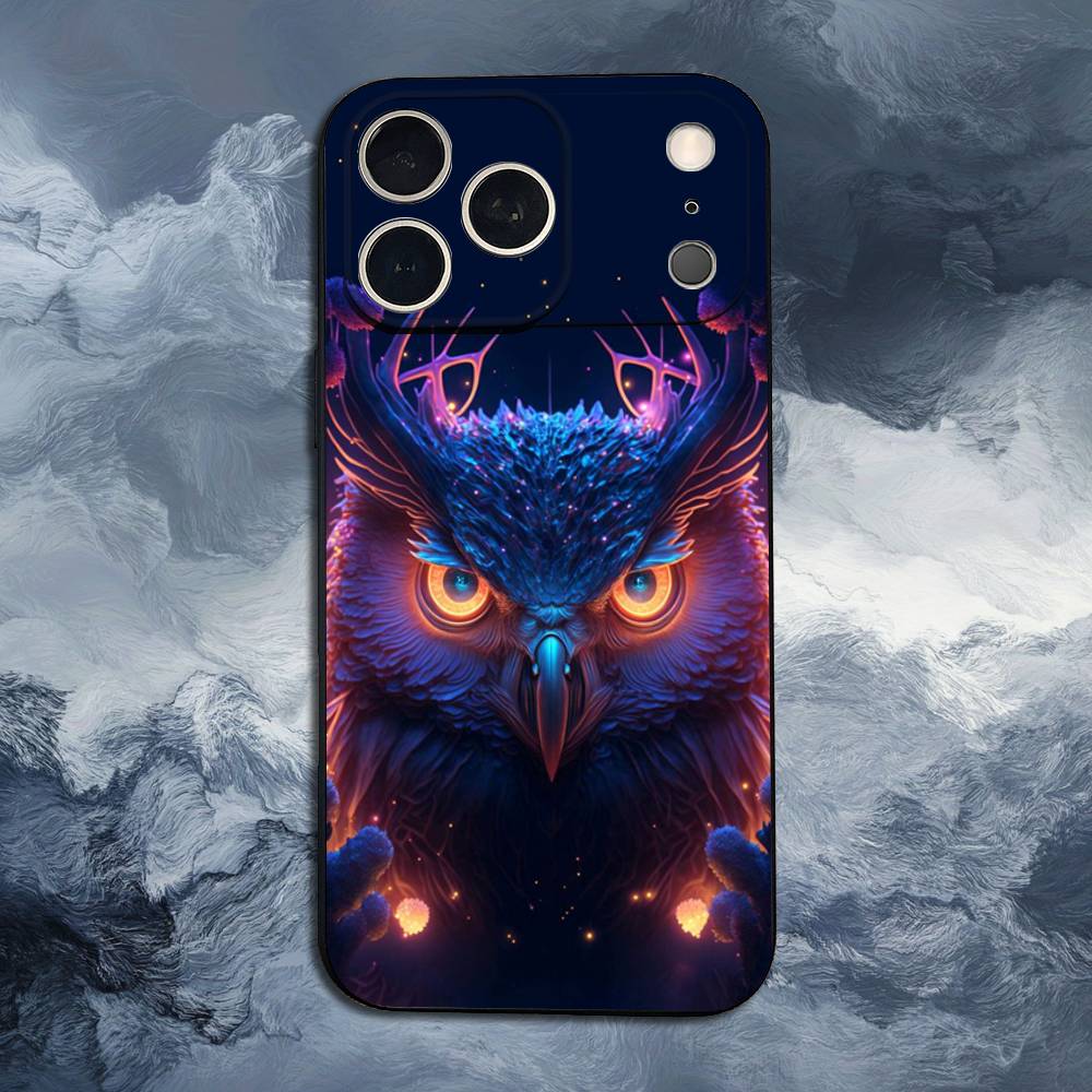 Cute C-Colorful Owl B-Bird For iPhone 12,14,13,15,8,7,16,11,17,X,Mini,Plus,Pro,XR,SE,XS,Max,Soft Silicone Black Case