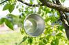 CAPTAIN STAG CAPTAIN STAG Captain Stag Camp Out Stainless Steel Sierra Cup 320mL UH-17