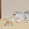 Ceramic Cat Bowl Elevated Food Protect Pet Spines Anti Slip Lightweight