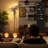 LED Floor Lamp, Dimmable, 2700 K-6000 K, 4150 lm, 3 Rotating Heads, 25 x 170 cm, Black