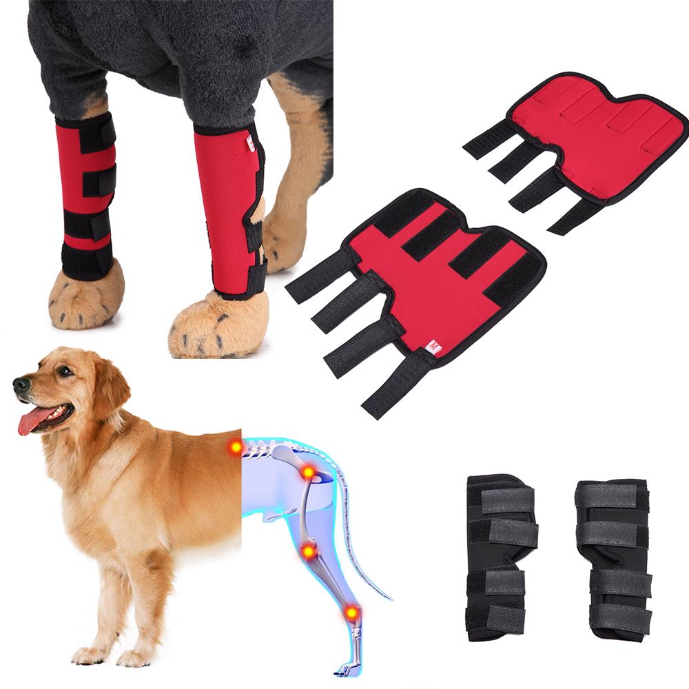 dog knee support