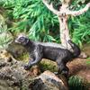 African Honey Badger and Eagle Animal Model Toy for Kids