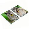 Kitchen Multifunctional Decorative Boards Tempered Glass Owl 2x40x52 Cm
