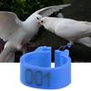 100 Stück Clip-On Design nummerierte Beinbänder 001-100 Nummerierte Vogelbeinringe Haustiervögel