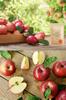 Orcoco Sonomanma Dried Apple Sweet and Sour Taste of Fuji Apples from Dried Apple Diet Crispy Texture Plain [Natural 100% Shinshu] Fruit,
