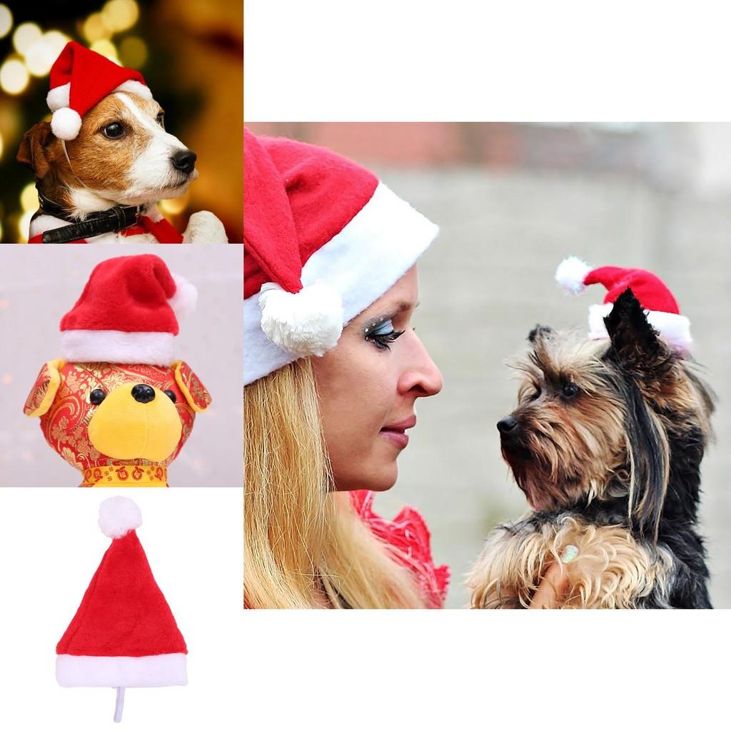 Niedliche kurze Plüsch-Weihnachts-Tierhaube für Hunde Perfektes Feiertags-Verkleidungszubehör