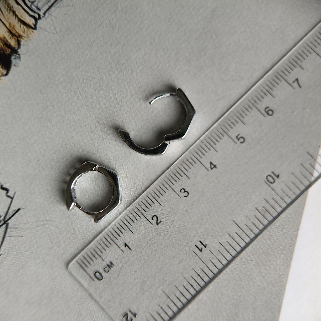 Silver Earrings with Cubic Zirkonia (2184195)