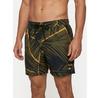 Шорты Quiksilver Everyday Printed Volley 15