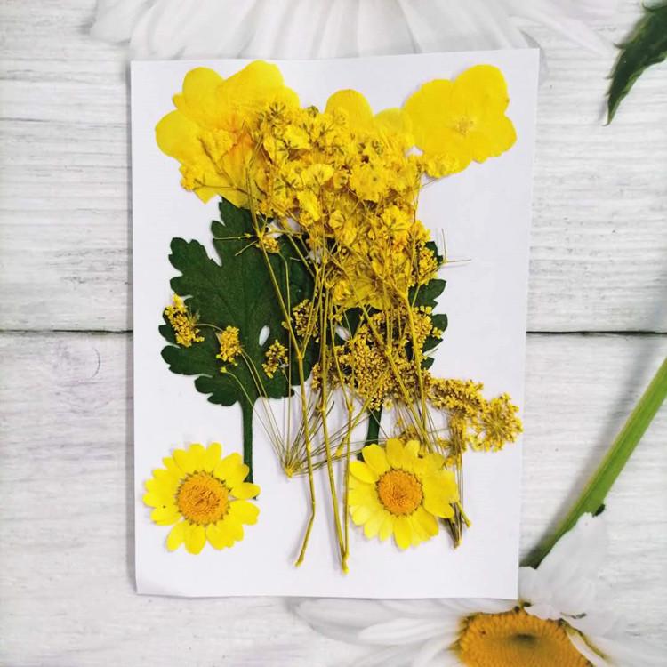 Pressed Dried Flower DIY Kit: Bookmark, Resin, & Phone Case Embossing Materials