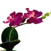 1 Set Fake Bonsai Realistic Anti Fade Faux Silk Flower Flexible Party Fake Butterfly Orchid Flowers Plant for Decorating