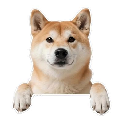 2 Pack 12x13cm Shiba Inu 2D Flat Vinyl Decal - Cute Cute Cute Dog